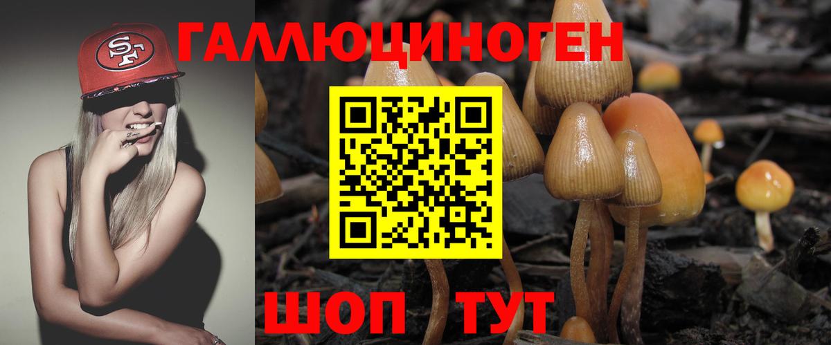 Галлюциногенные грибы GOLDEN TEACHER  Вход с VPN  Богородск 